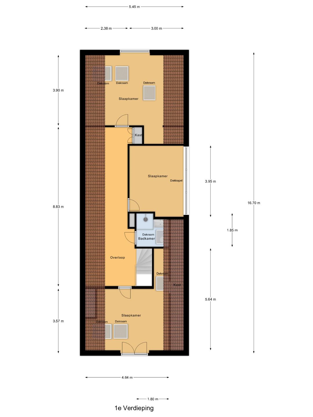 Foto 83 van IJsvogel 81