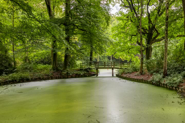 Foto 26 van Colenso 113