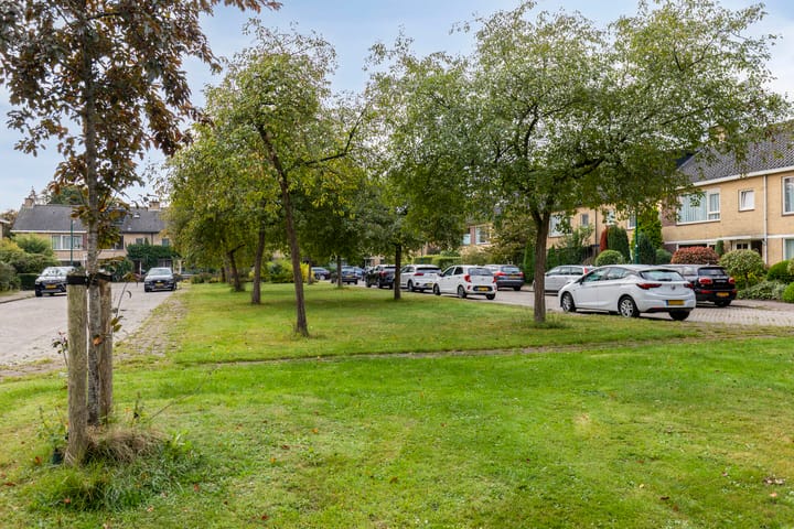 Foto 27 van Colenso 113