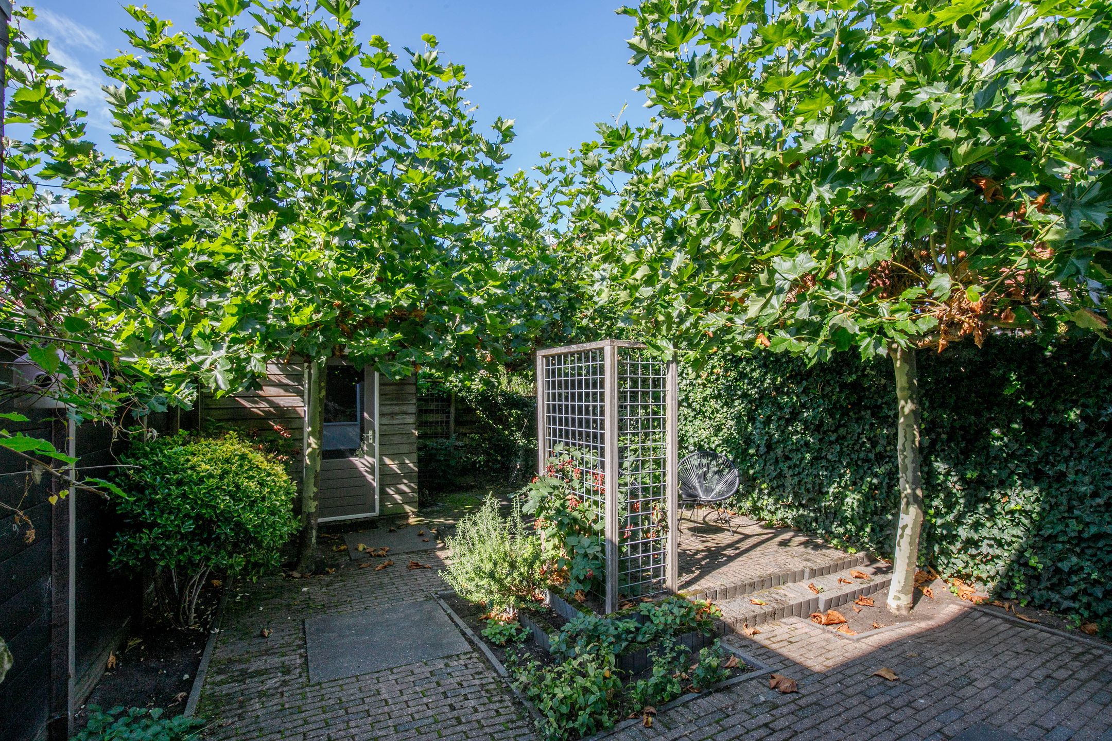 Foto 27 van Kastanjestraat 1