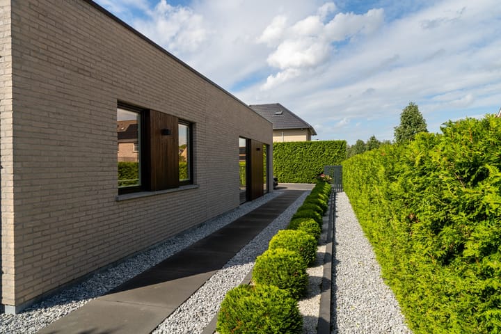 Photo 46 of H.J.M. Wiegersmastraat 9