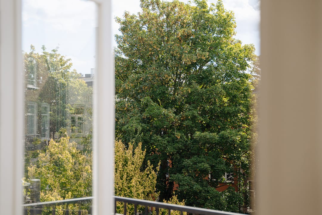 Foto 17 van Govert Flinckstraat 294-3