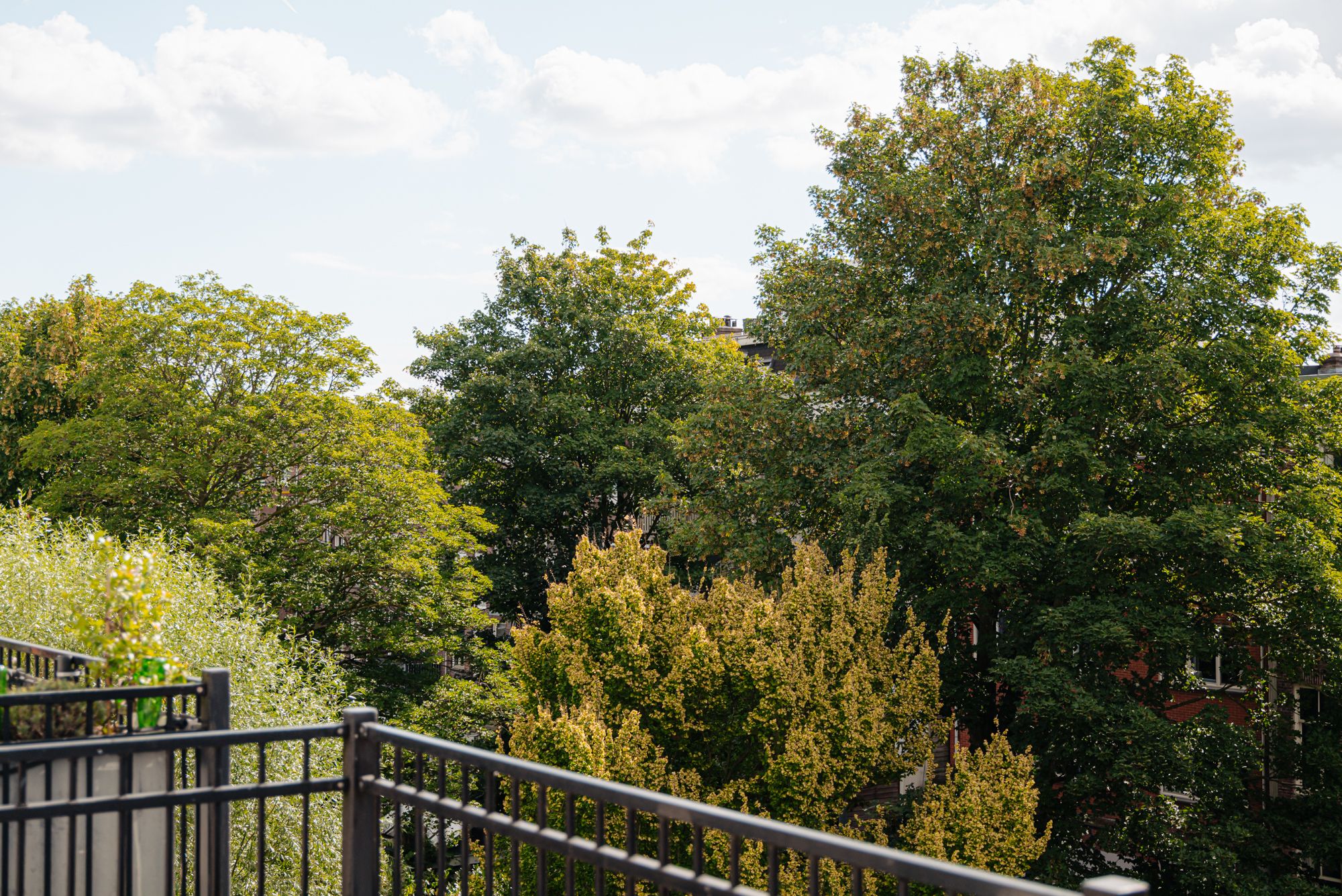 Foto 18 van Govert Flinckstraat 294-3