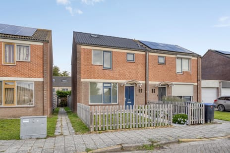 undefined main image