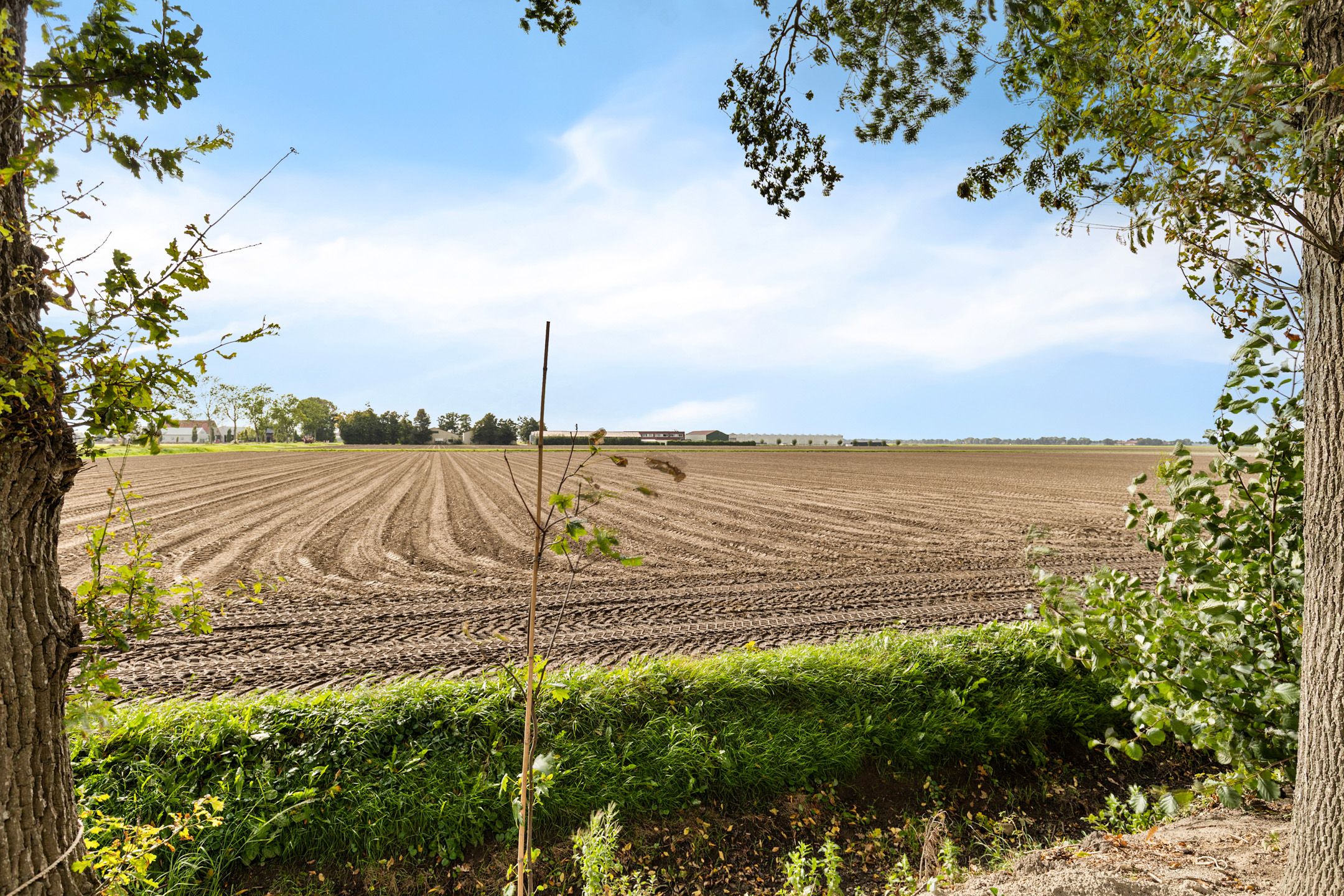 Photo 12 of Burchtweg 19-A