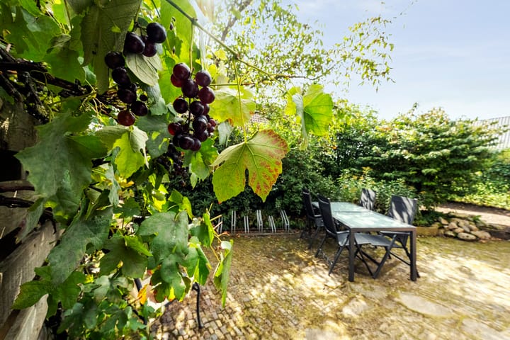 Foto 43 van Oranjestraat 29