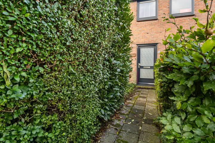 Foto 37 van Finne 40