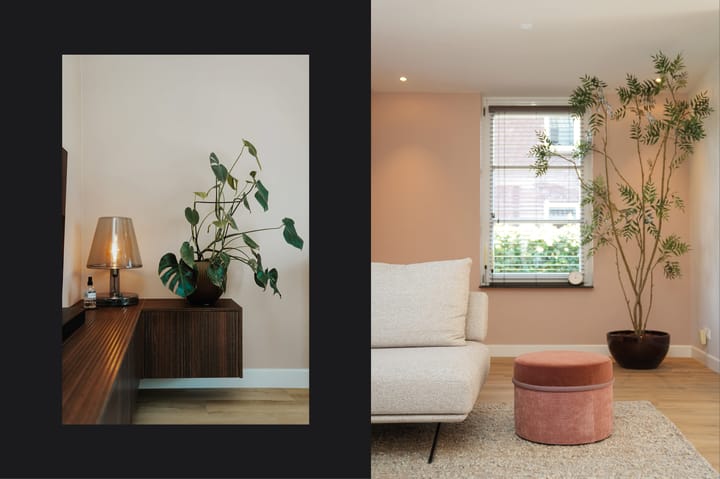 Foto 11 van Auke Mollemastraat 14