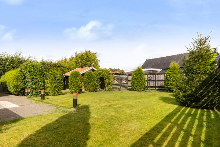 Foto 4 van Zwanebloem 4