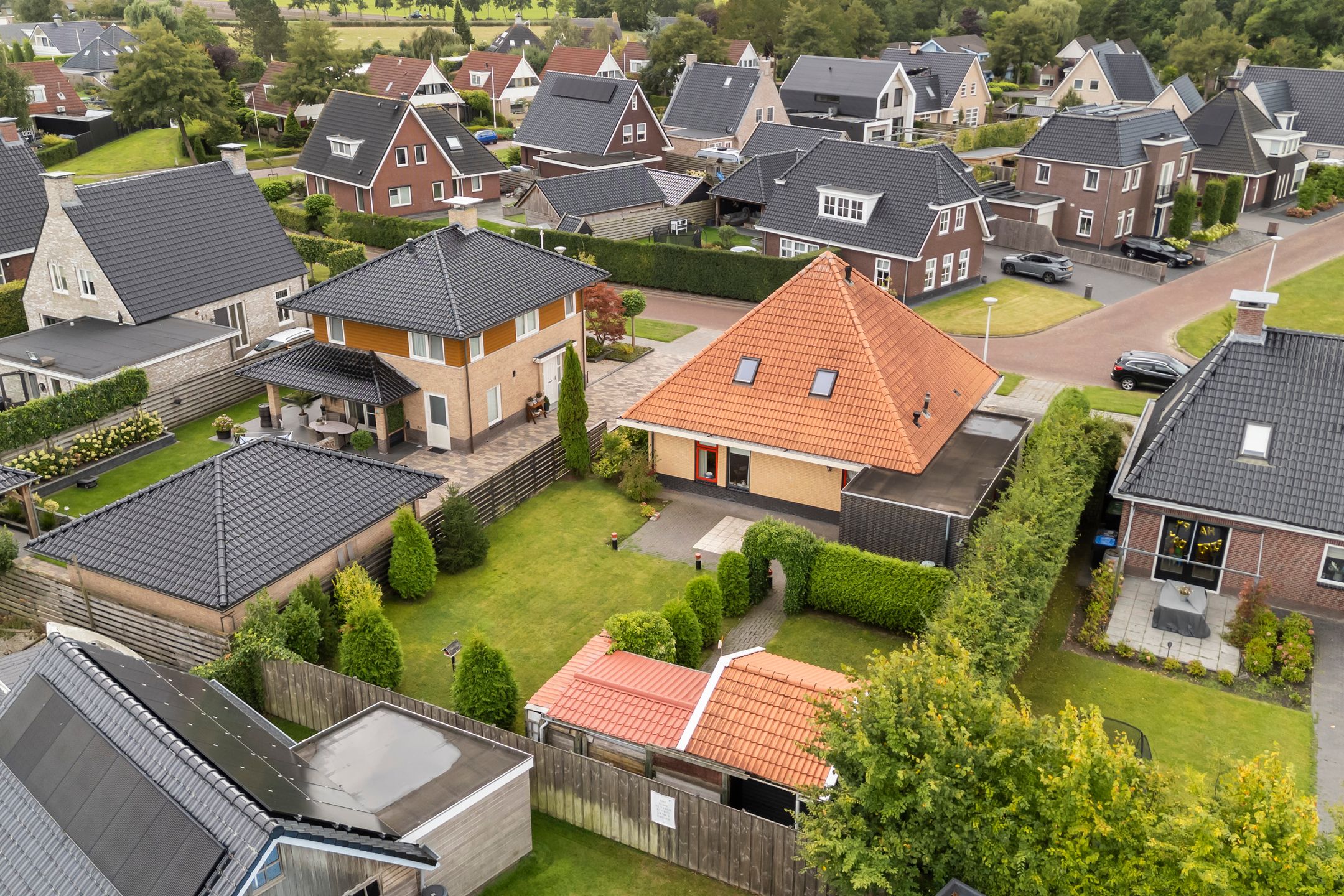 Foto 6 van Zwanebloem 4