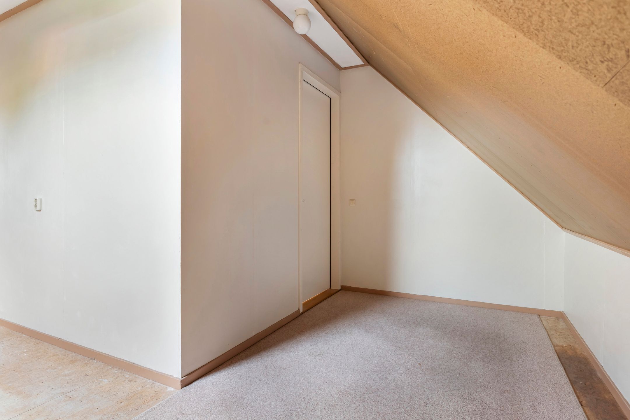 Foto 27 van Zwanebloem 4