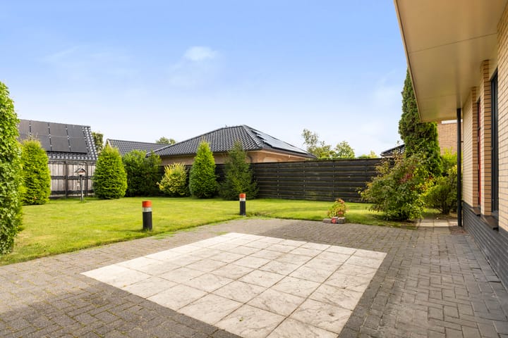 Foto 38 van Zwanebloem 4