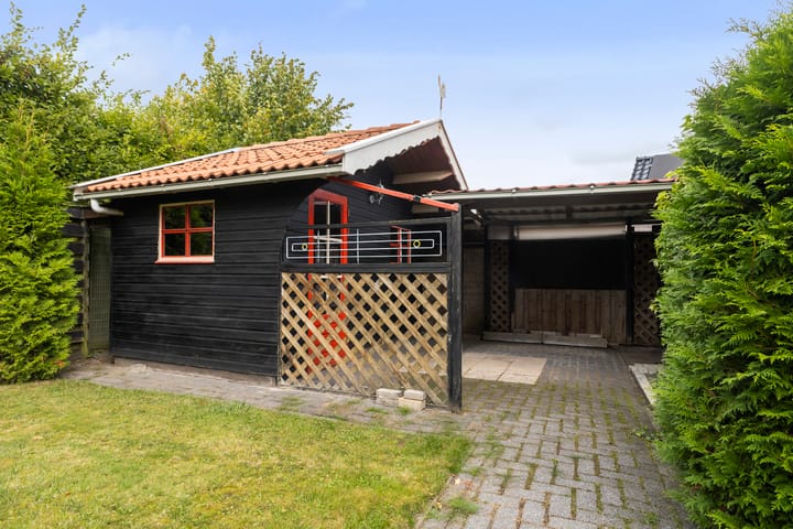 Foto 43 van Zwanebloem 4