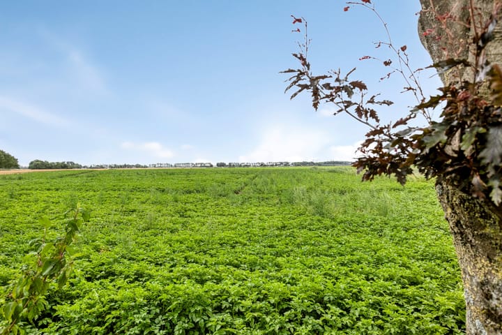 Photo 2 of Krukweg 5