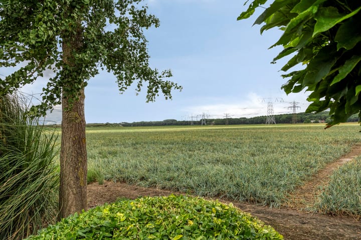 Photo 32 of Krukweg 5