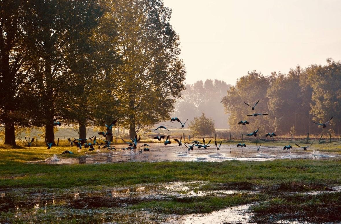 Foto 44 van Grote Dijk 10