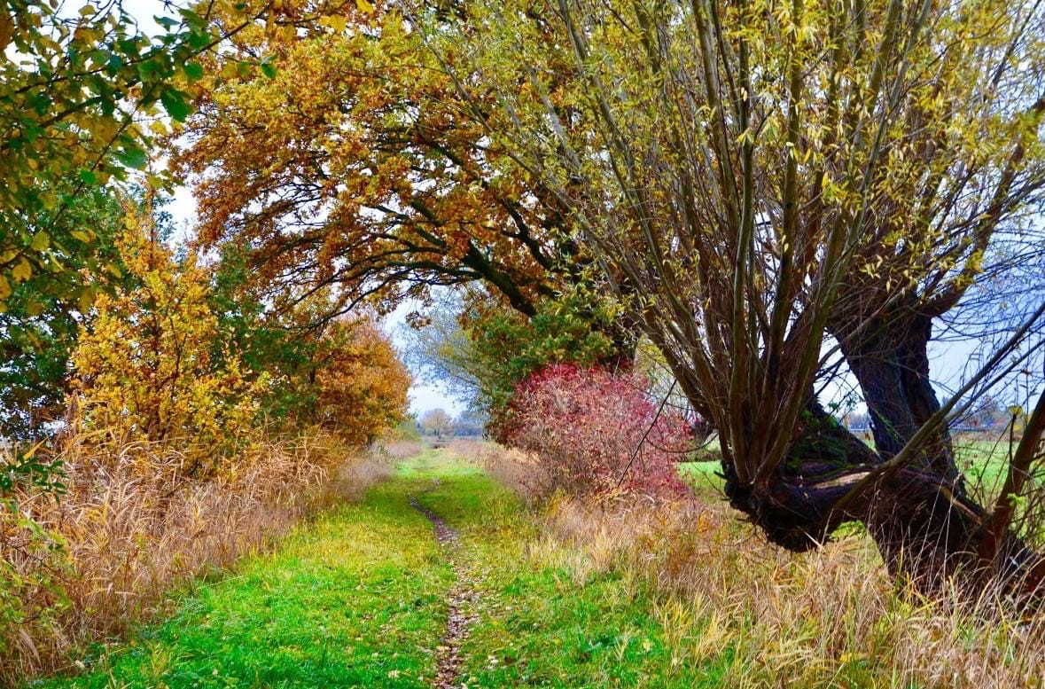 Foto 45 van Grote Dijk 10