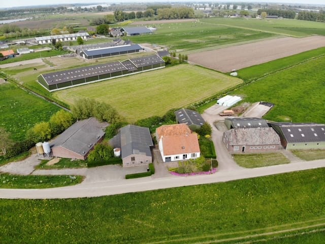 Photo 2 of Sint Odradastraat 49