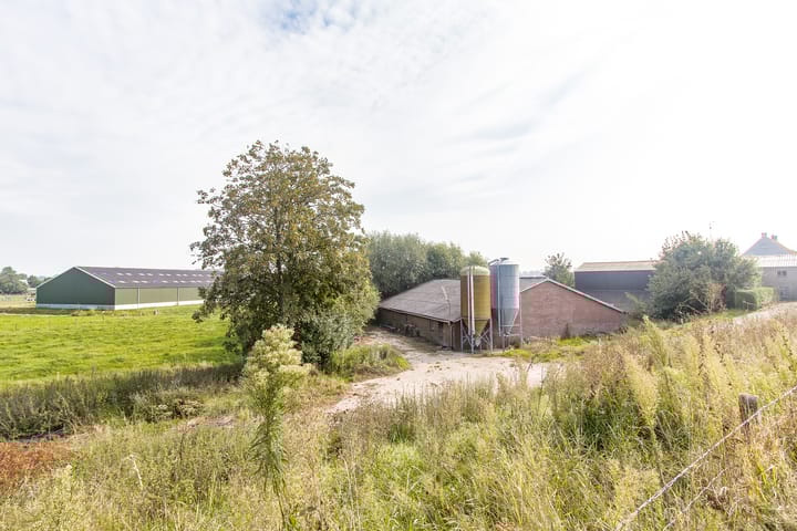 Photo 3 of Sint Odradastraat 49