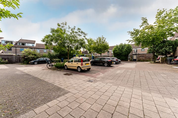 Foto 46 van Pijlkruidmeen 25