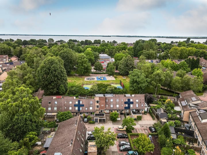 Foto 50 van Pijlkruidmeen 25