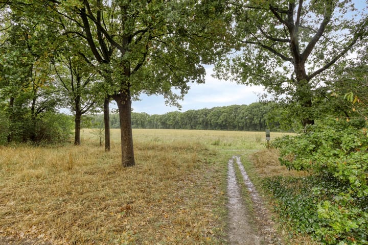 Foto 30 van De Toltoren 23