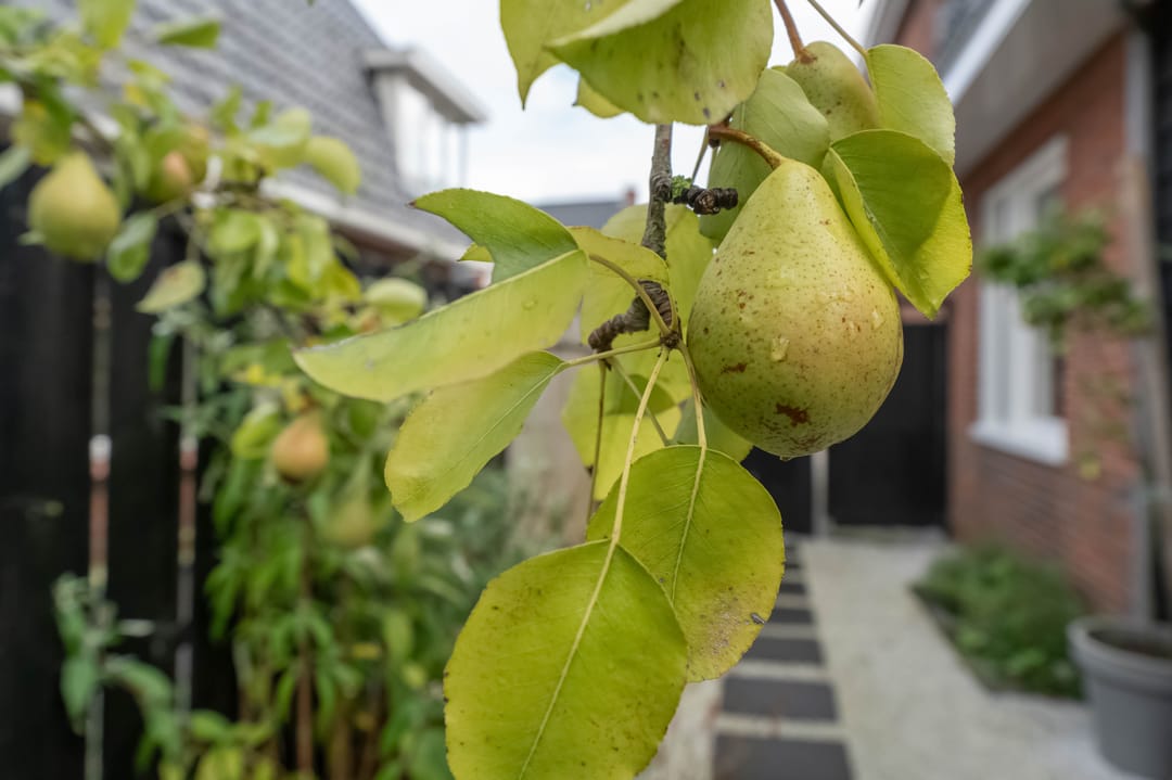 Foto 52 van Piet Heinstraat 5