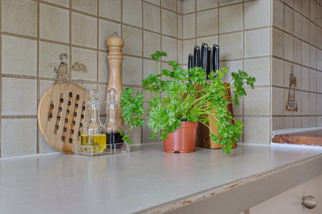 Foto 16 van Dingostraat 46