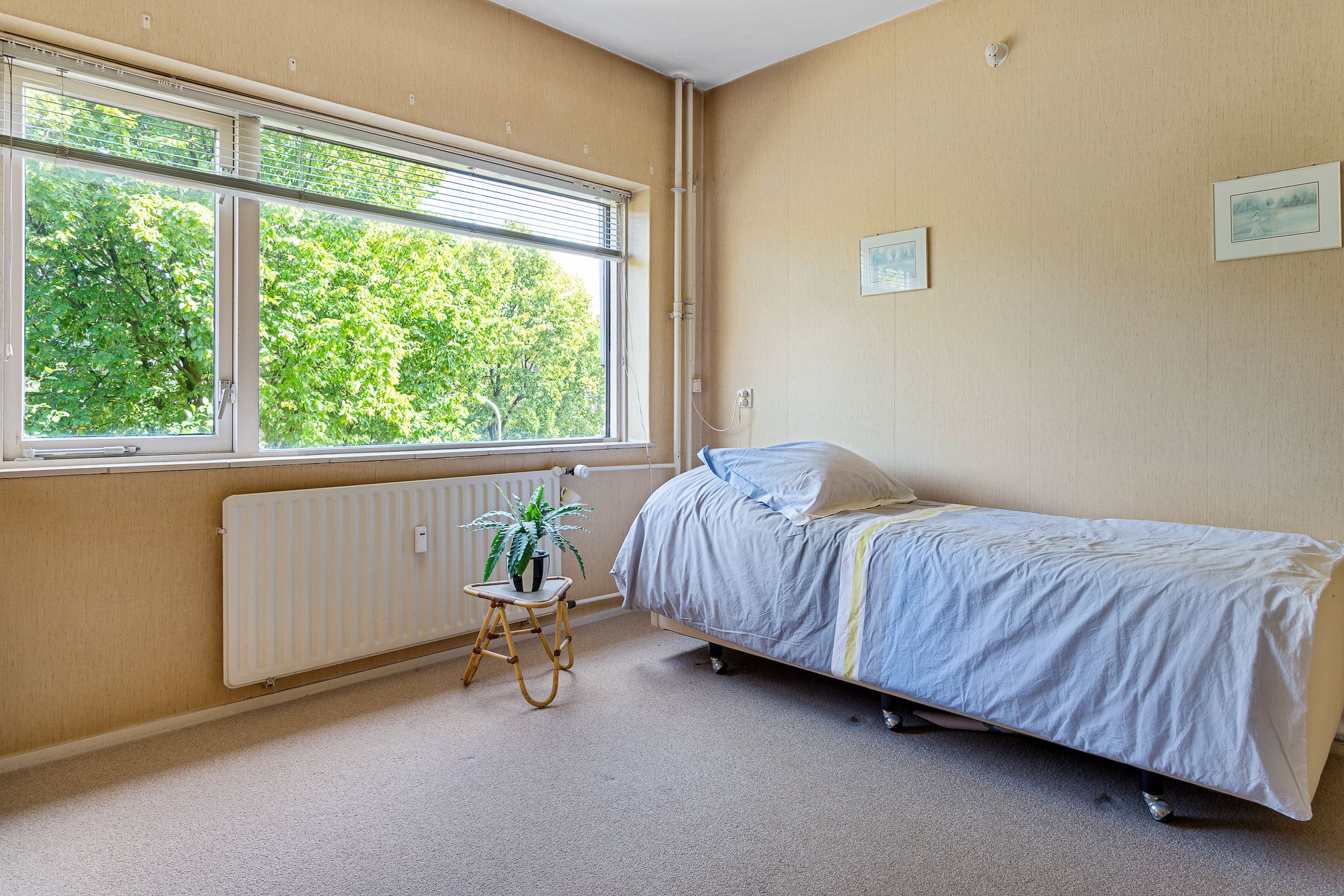 Foto 24 van Dingostraat 46