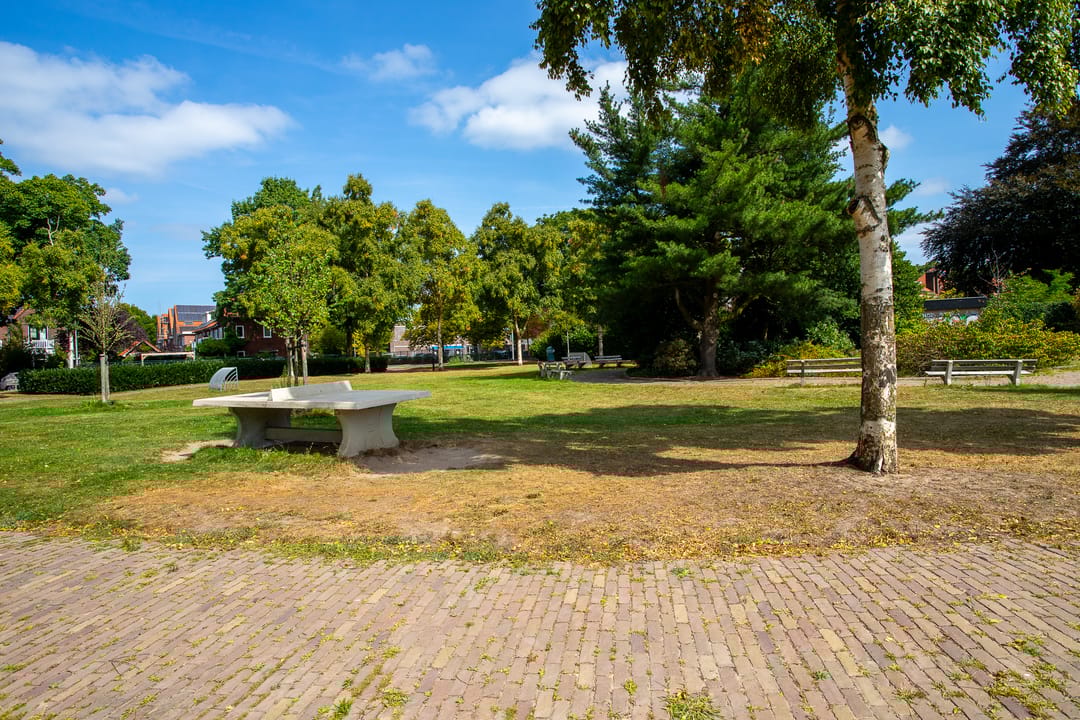 Foto 41 van Dingostraat 46