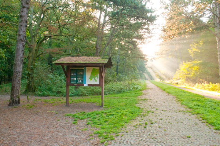 Foto 53 van Jan van den Bergstraat 85