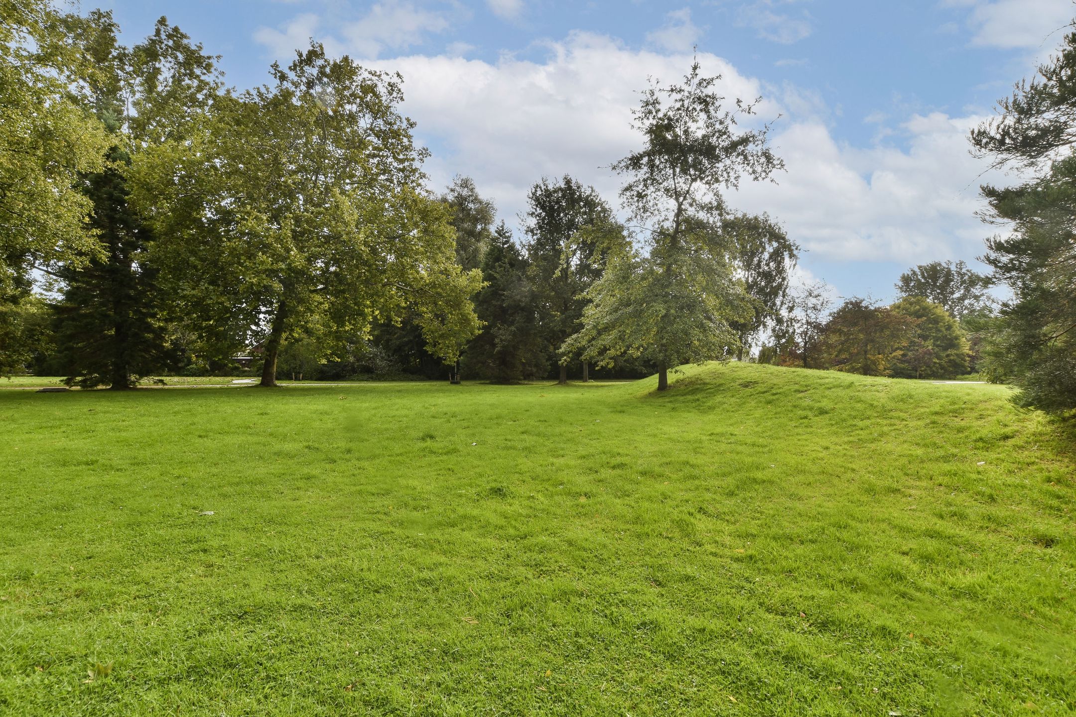 Foto 48 van Brikstraat 75