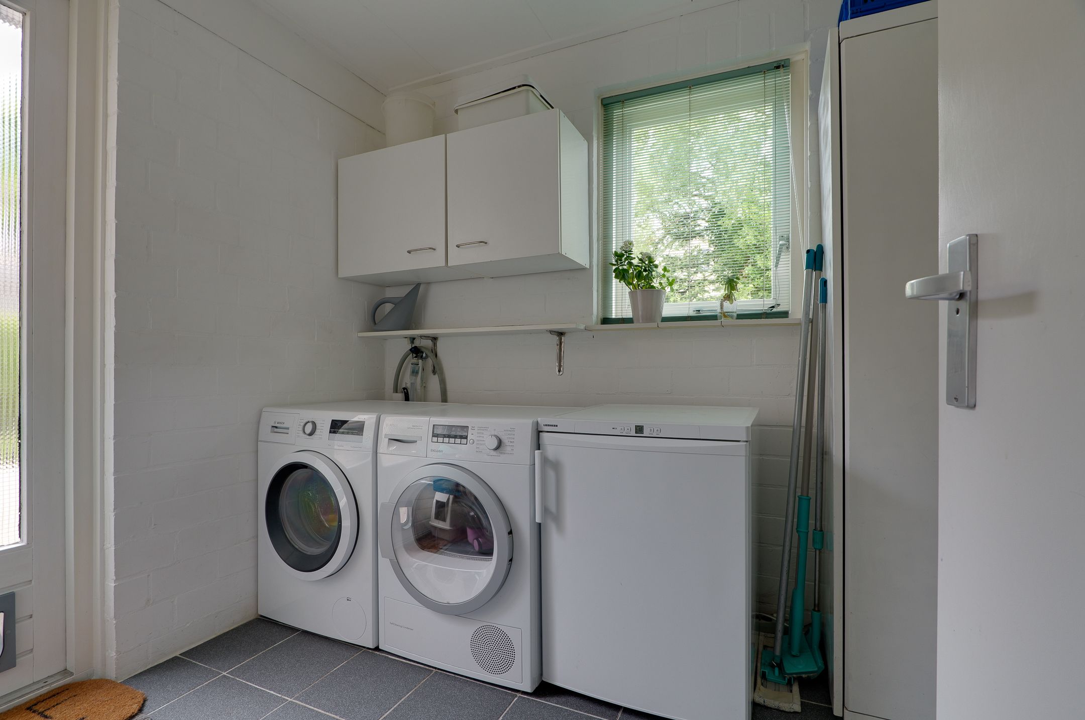 Foto 15 van Podzolhamel 3