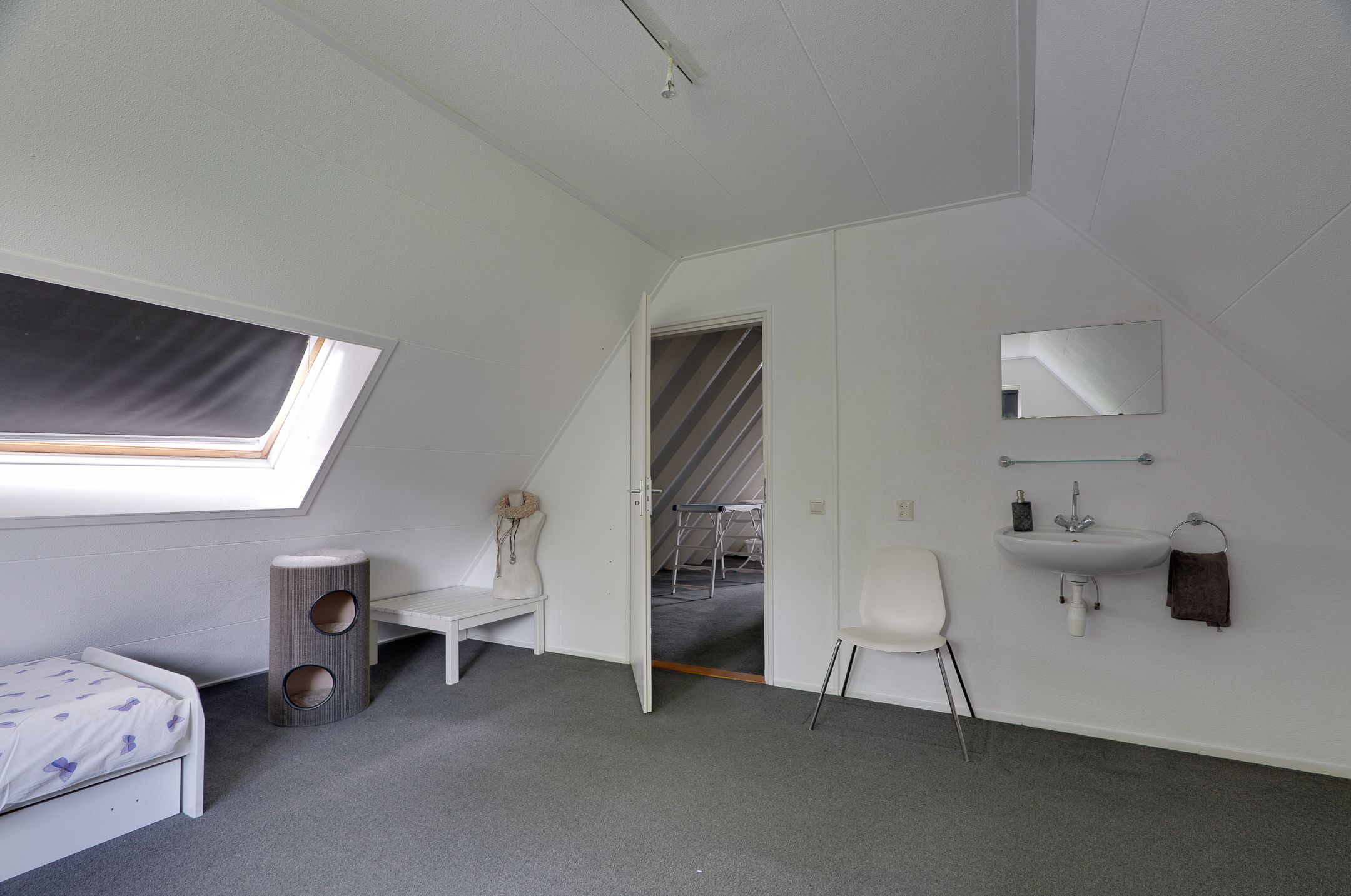 Foto 21 van Podzolhamel 3