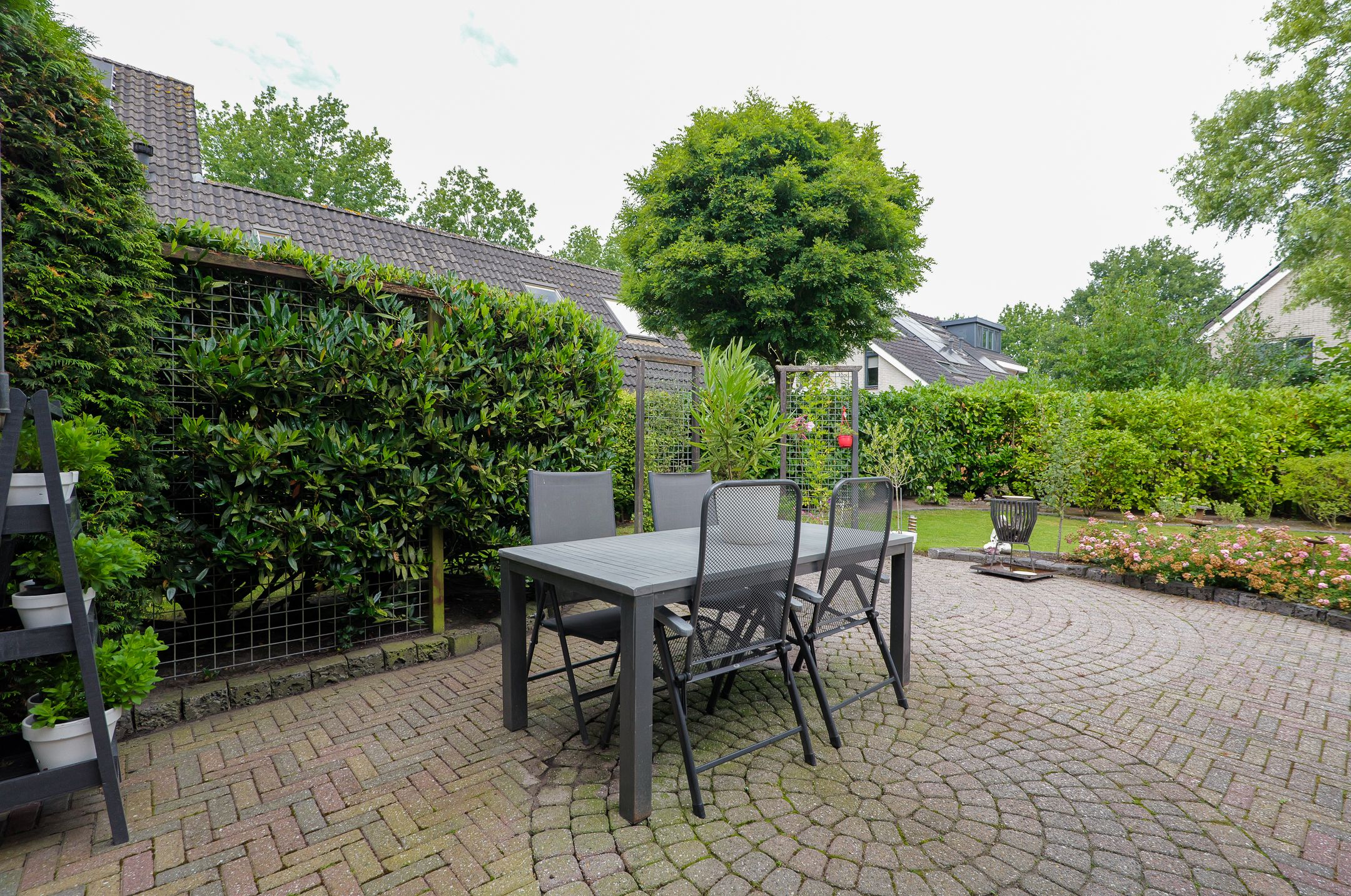 Foto 33 van Podzolhamel 3