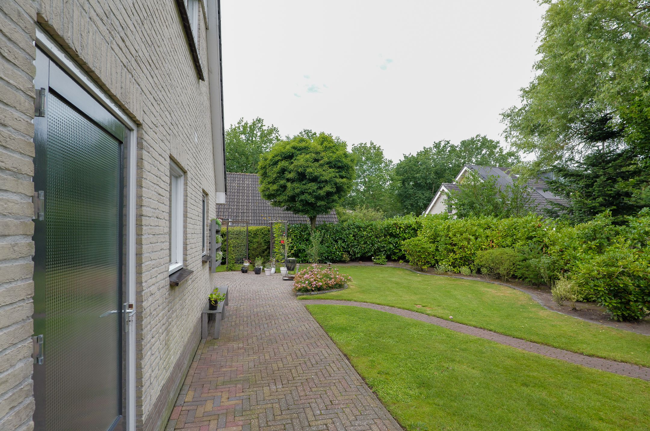 Foto 39 van Podzolhamel 3