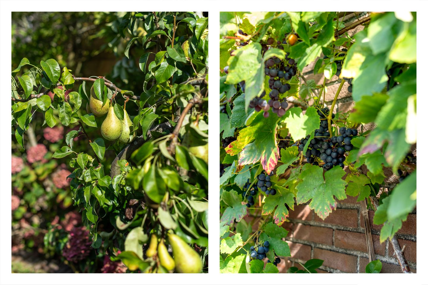 Foto 34 van Hoofdweg 37