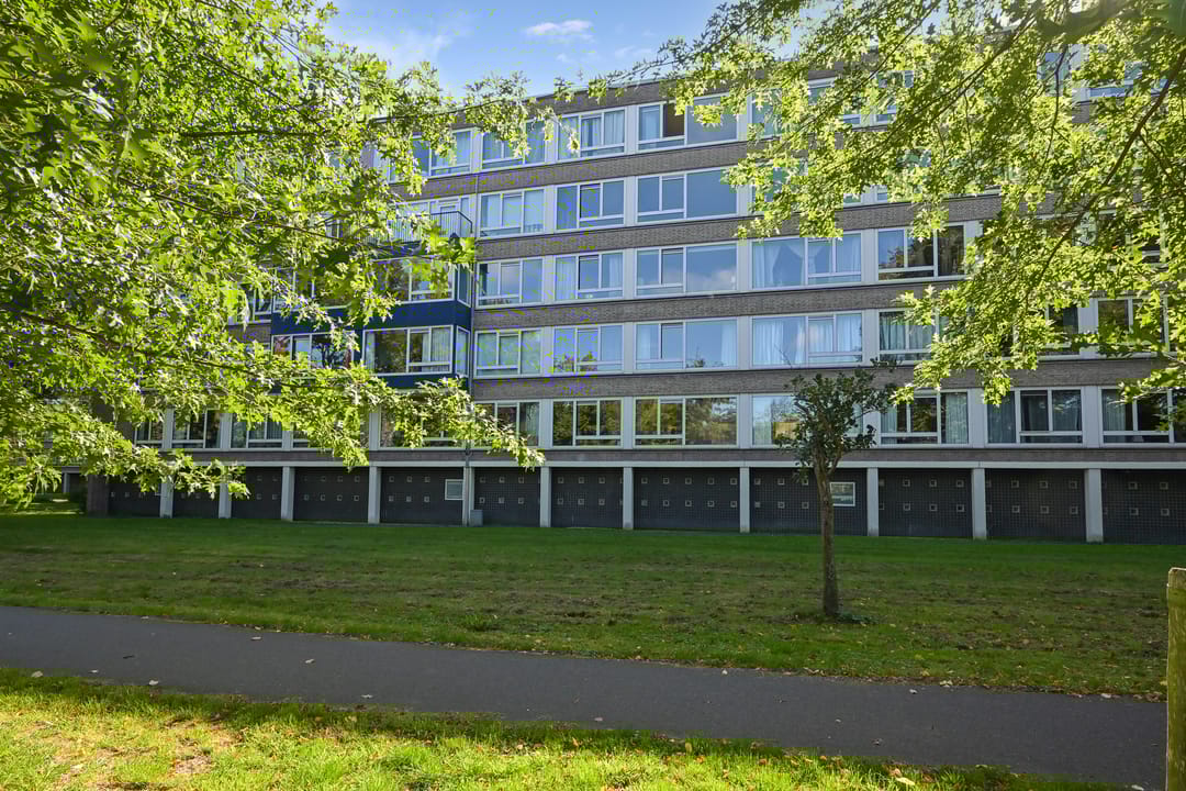 Foto 1 van Parelmoerhorst 302