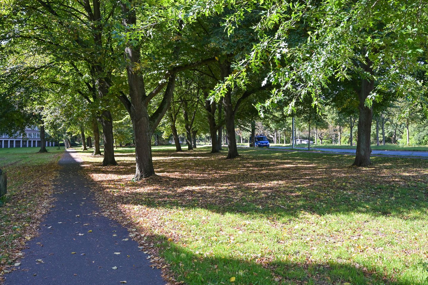 Foto 25 van Parelmoerhorst 302