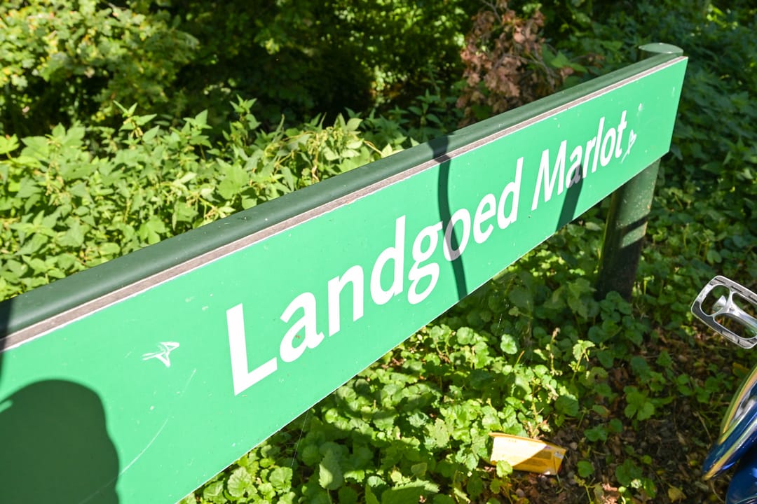 Foto 26 van Parelmoerhorst 302