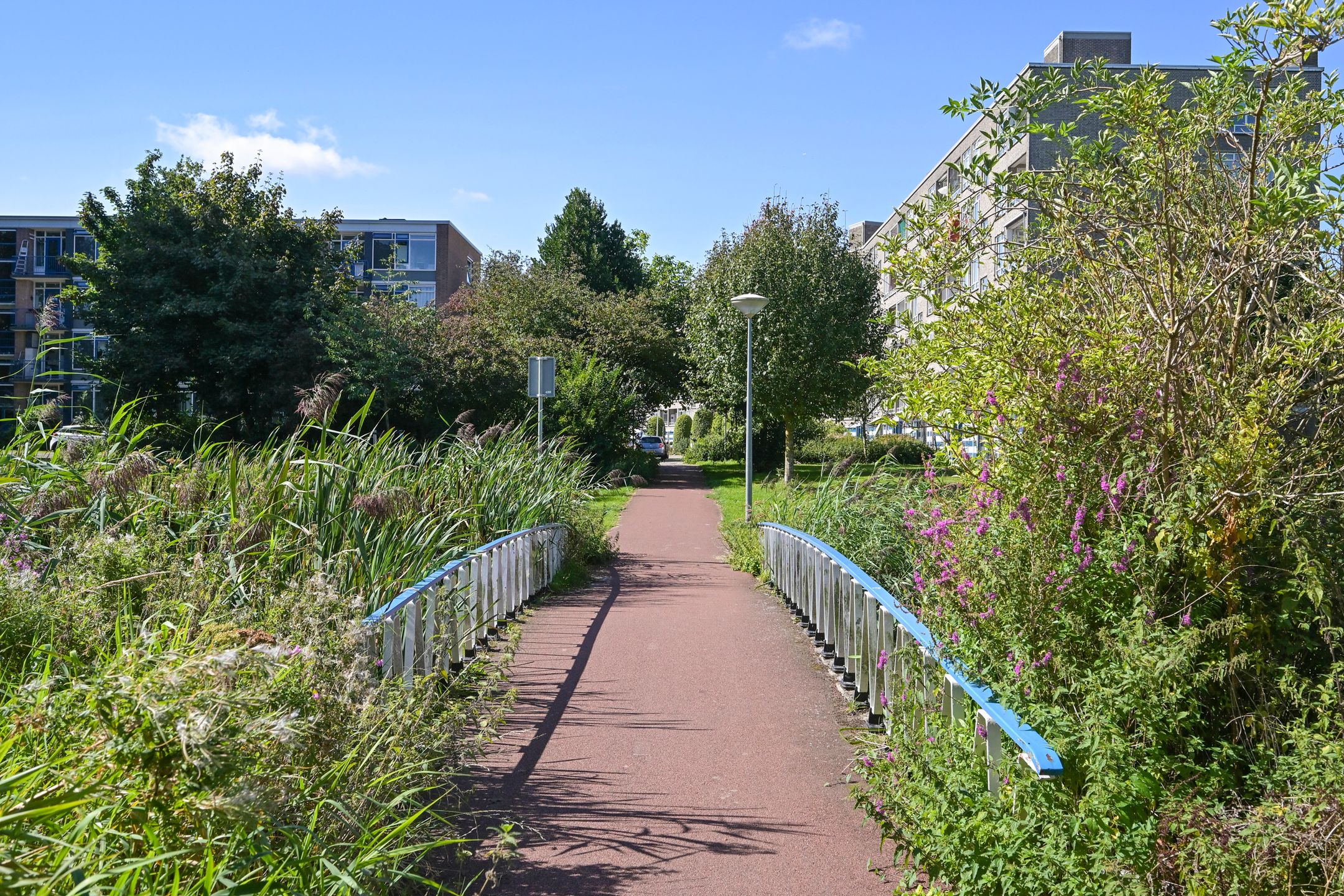 Foto 27 van Parelmoerhorst 302