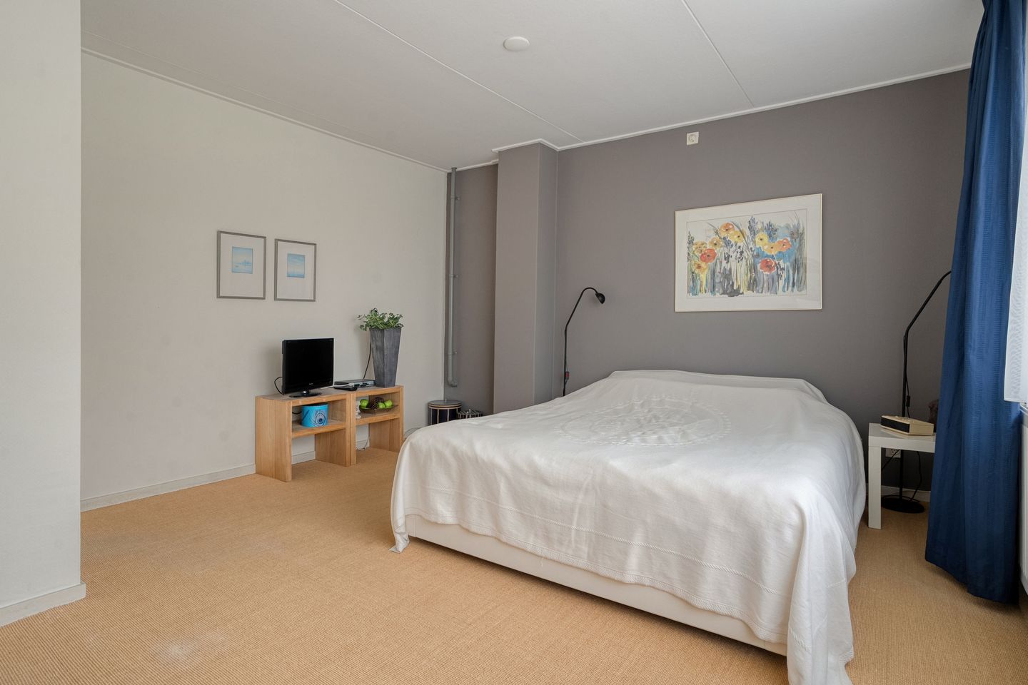 Foto 19 van Ds. van Halsemastraat 6