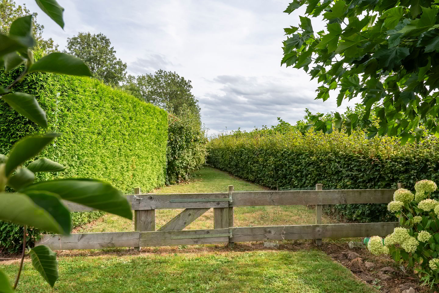 Foto 44 van Dreef 22