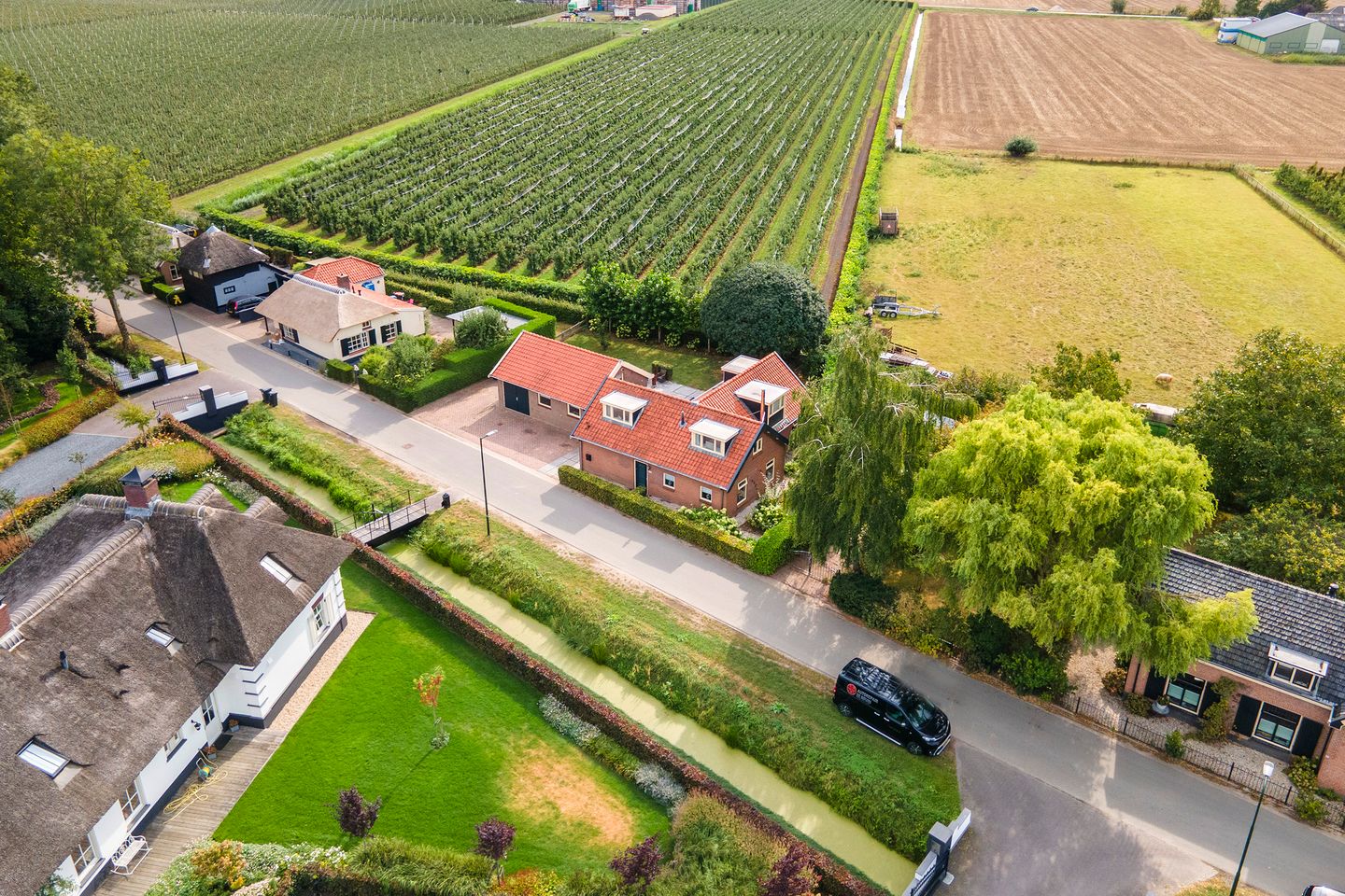 Foto 50 van Dreef 22