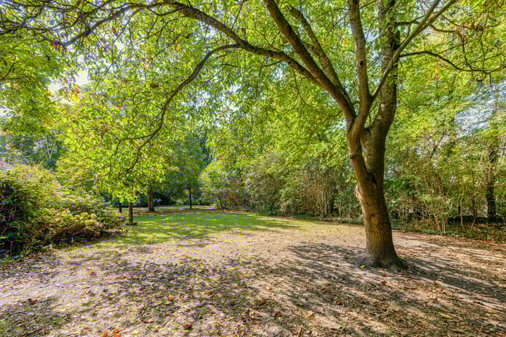 Photo 43 of Verwersweg 30