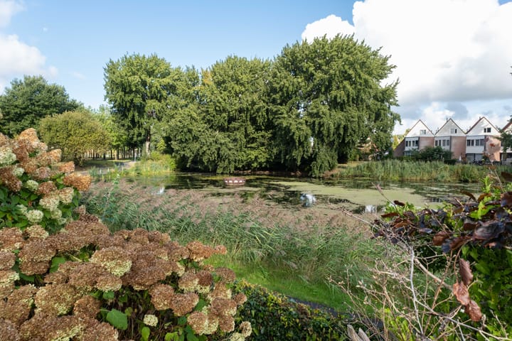 Foto 60 van Osingastate 23