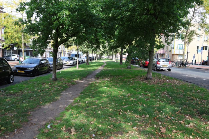 Foto 25 van De la Reyweg 97