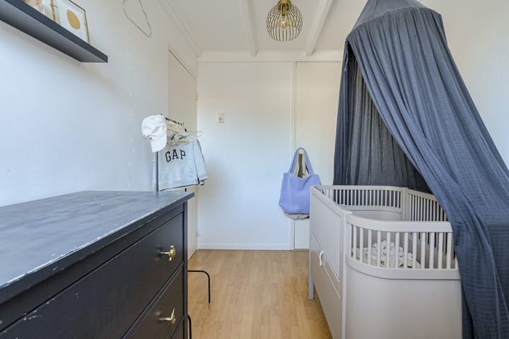 Photo 25 of Ranonkelstraat 46