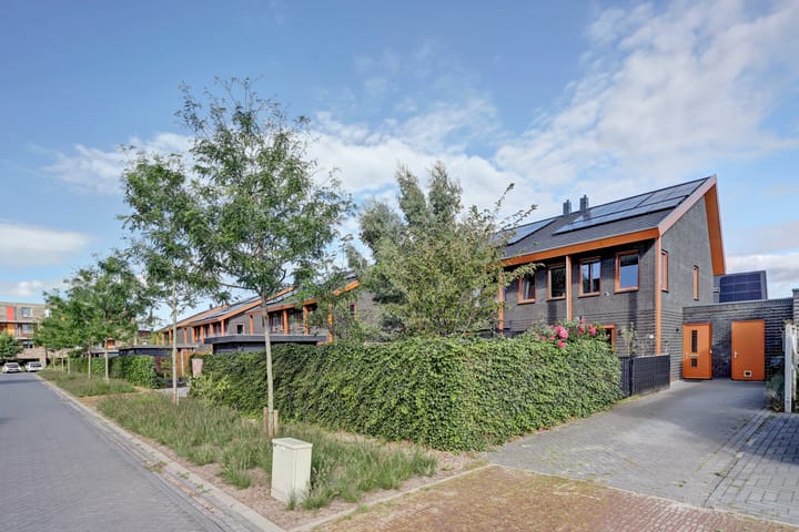 Foto 36 van Korte Venen 4