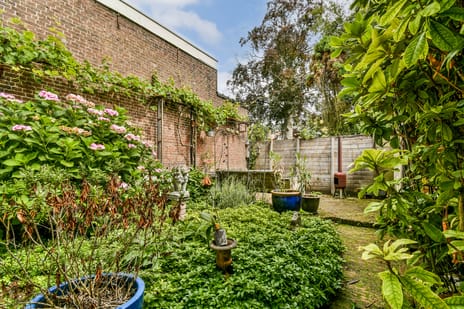 Fluwelensingel 77 tertiary image